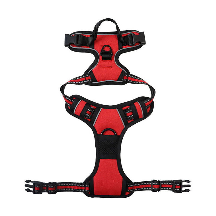 3-in-1 Pet Walking Kit | Bowlift
