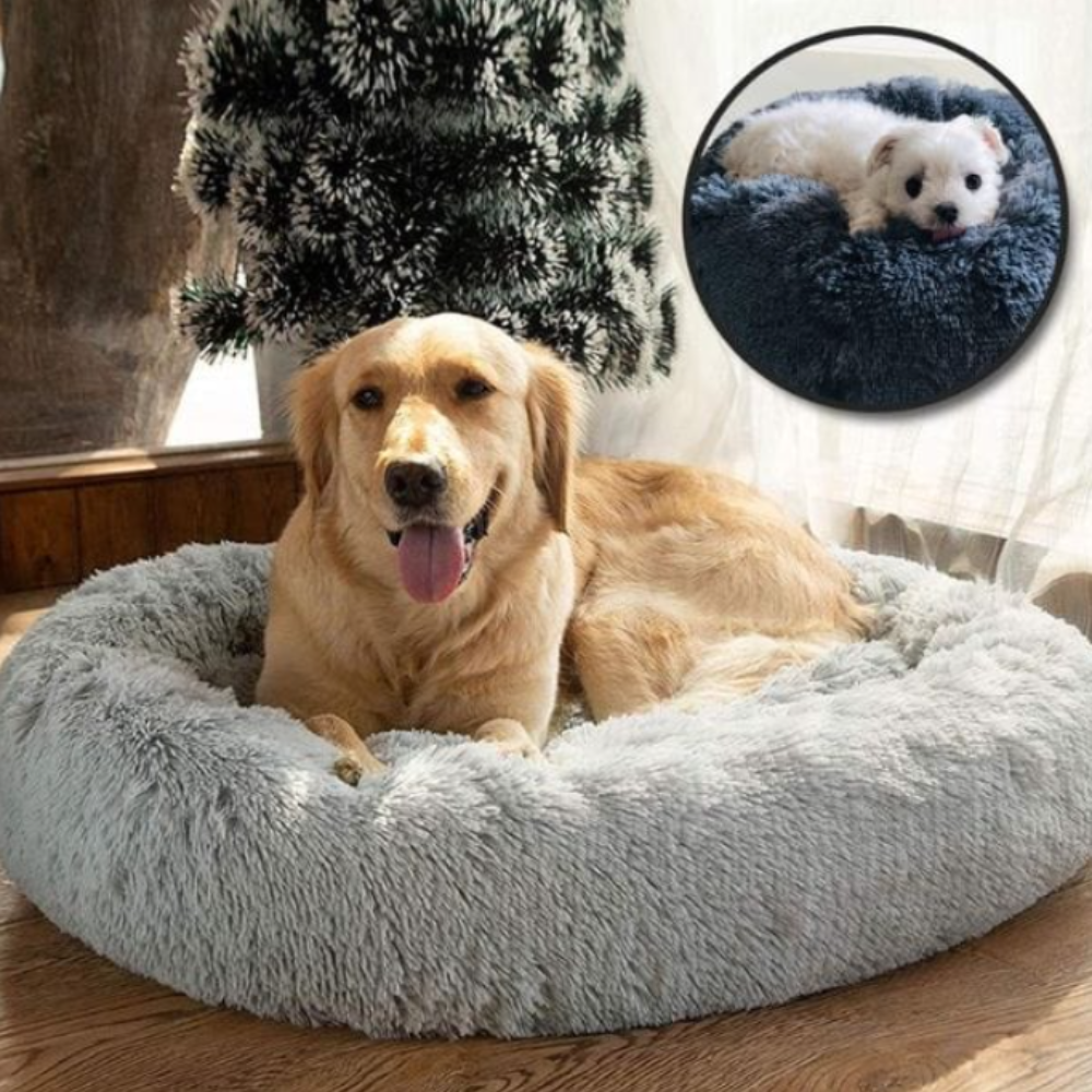 CalmNest • Anxiety-Reducing Pet Bed