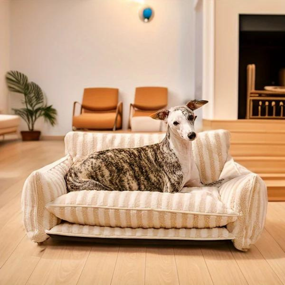 CozyCouch  • Calming Dog Sofa