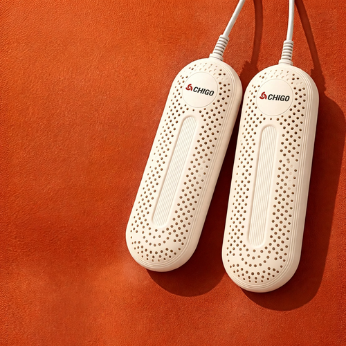 Electric shoe dryer with timer function