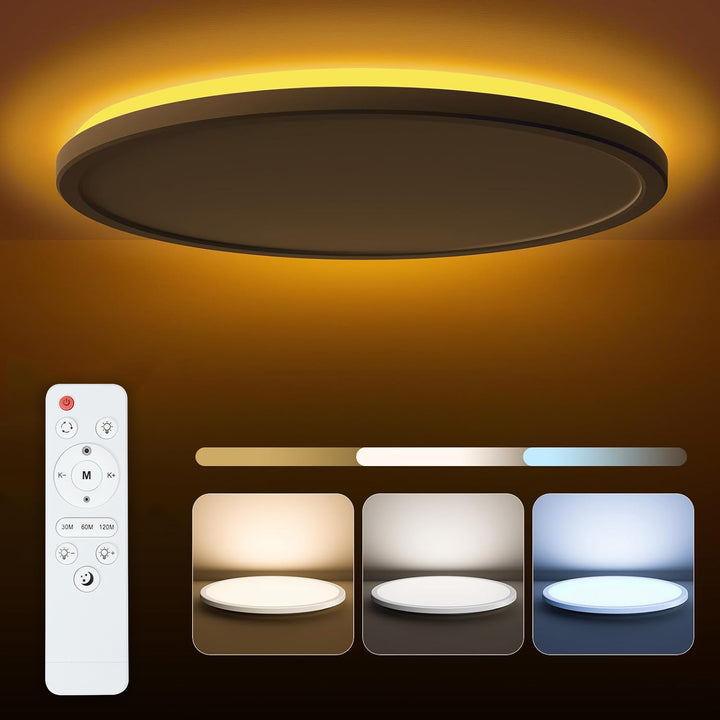 LED ceiling light with color change and background light