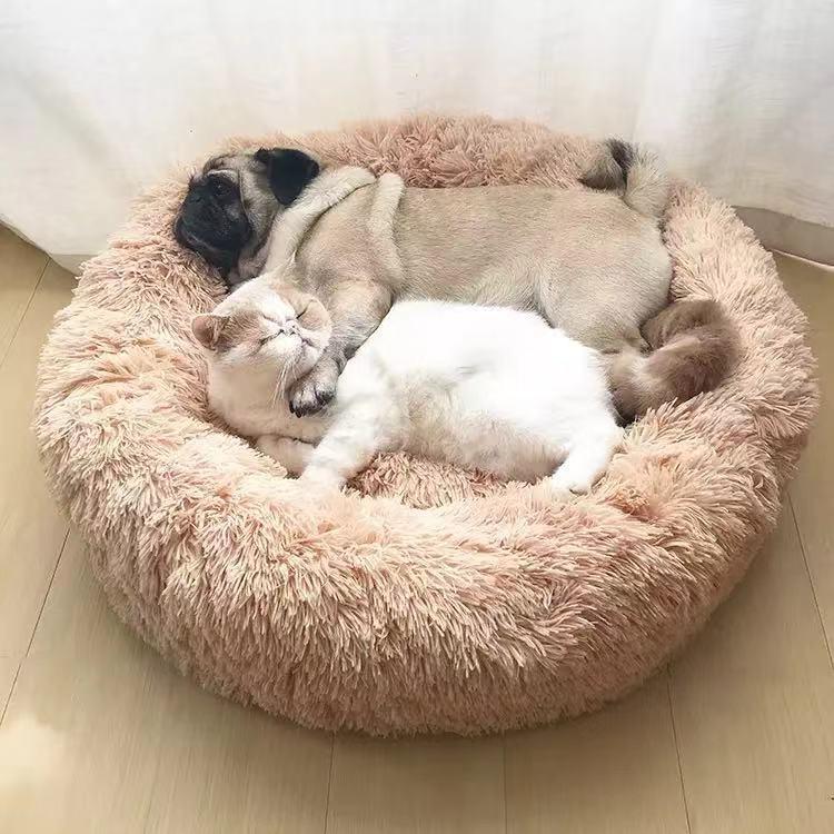 BowLift | Milowa Soft Orthopedic Pet Bed for Cats and Dogs