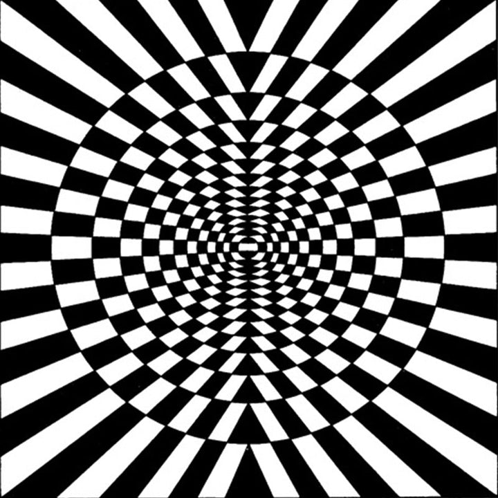 BowLift | Novelty Living Room Rug in Black and White 3D Circle Stripe Pattern Rug Polyester Pet-Friendly Washable Rug