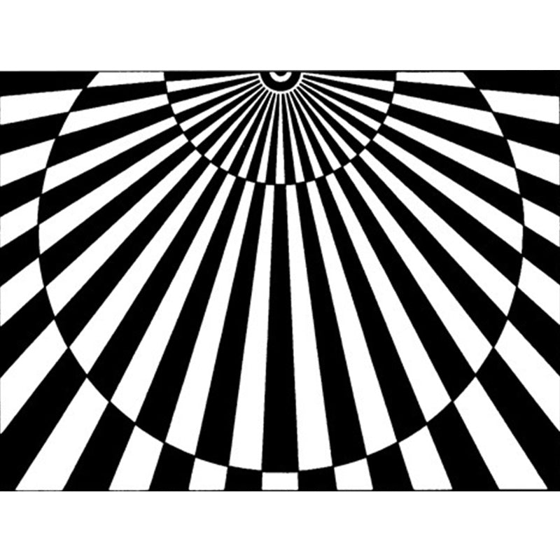 BowLift | Novelty Living Room Rug in Black and White 3D Half Circle Stripe Print Rug Polyester Pet Friendly Washable Area Rug