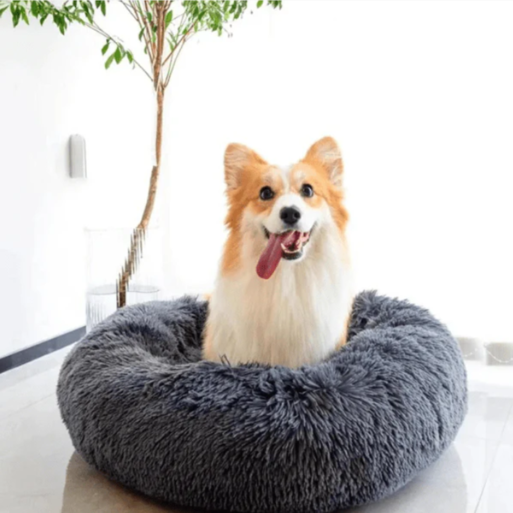 CalmNest • Anxiety-Reducing Pet Bed