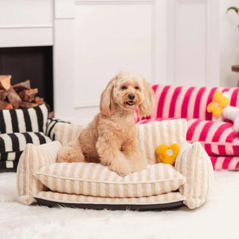 CozyCouch  • Calming Dog Sofa