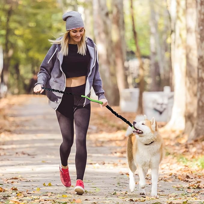 FlowLeash — Experience gentle control and relaxed walks without jerks! | Bowlift
