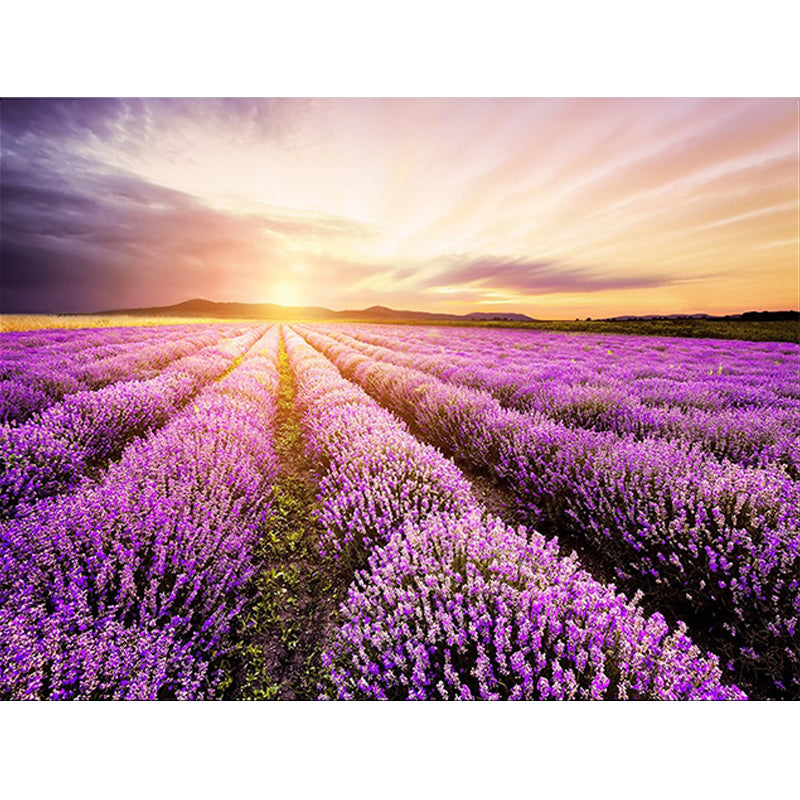 New Lavender Pattern Rug Purple Polyester Rug Machine Washable Non-Slip Rug for the Bedroom | Bowlift