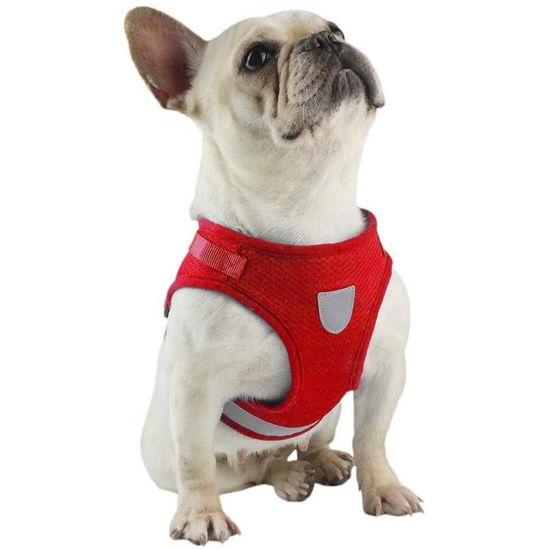 BowLift | Reflective Safety Dog Harness and Leash Set Offer
