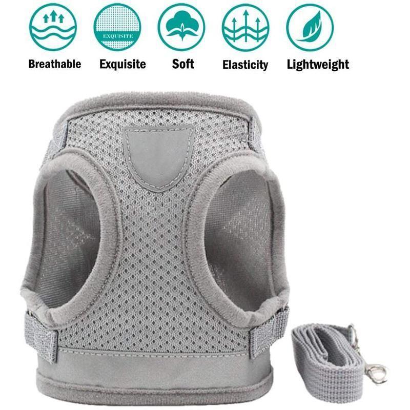 BowLift | Reflective Safety Dog Harness and Leash Set Offer