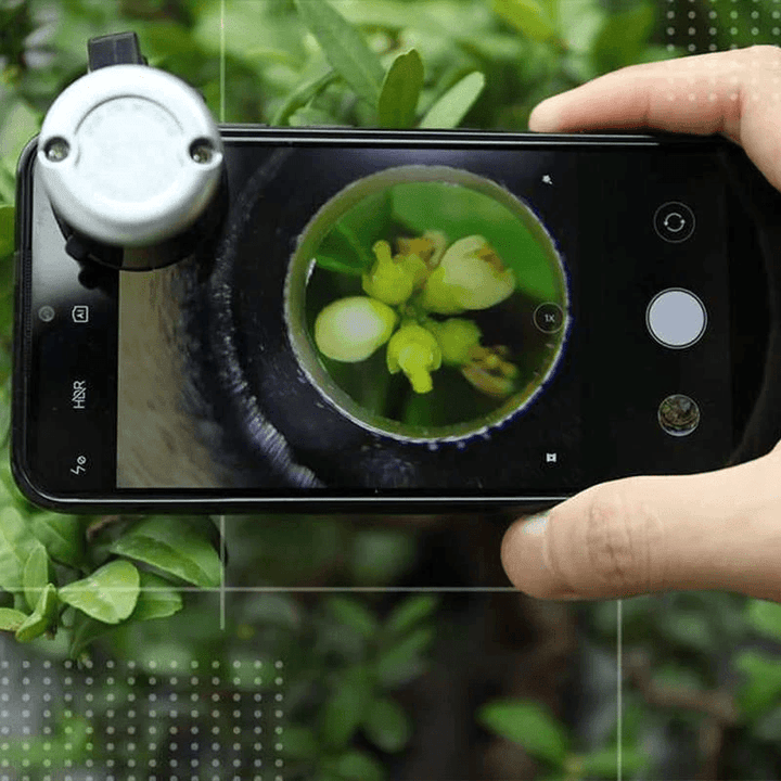 BowLift | LED Mobile Phone Microscope