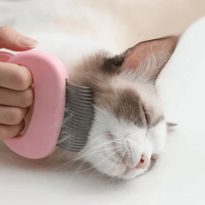 BowLift | MASSAGE & GROOMING PLEASURE FOR YOUR CAT!