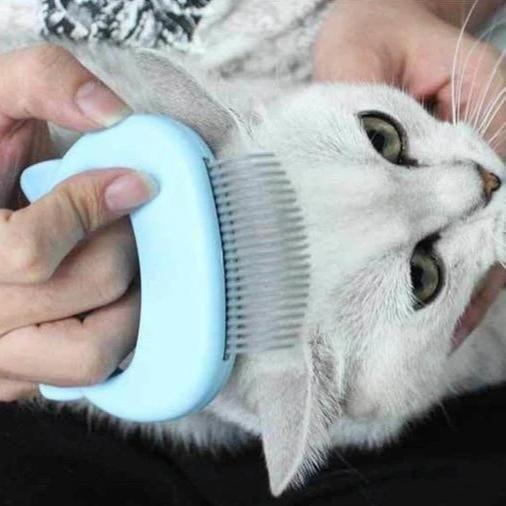 BowLift | MASSAGE & GROOMING PLEASURE FOR YOUR CAT!