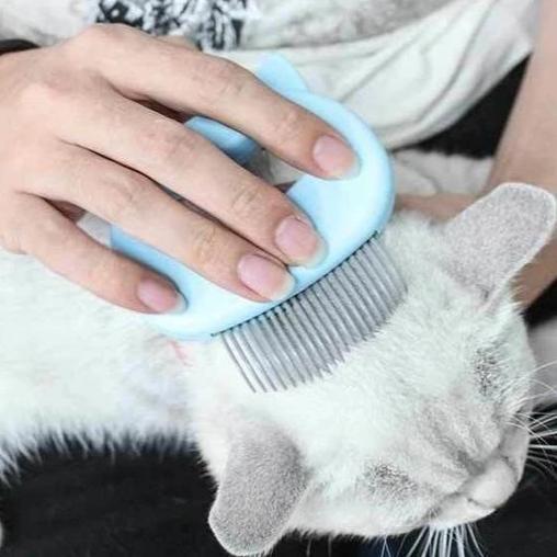 BowLift | MASSAGE & GROOMING PLEASURE FOR YOUR CAT!