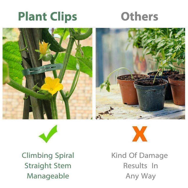 BowLift | Reusable Garden Flower Lever Loop Gripper Clips
