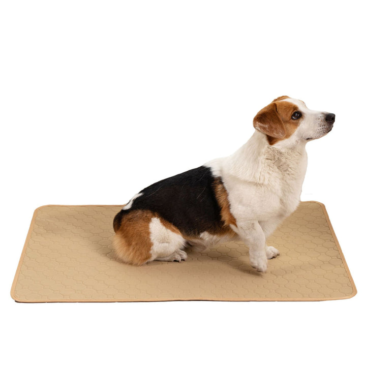 Pet Comfort Mat