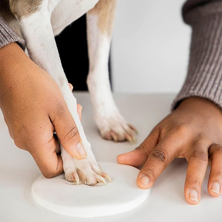 BowLift | Clay Pet Paw Impression Moulding Kit