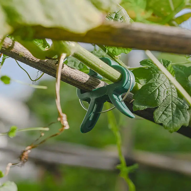 BowLift | Garden clip set – plant loops for plant supports and garden care