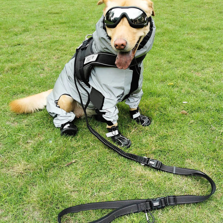 BowLift | Reflective All-weather Waterproof Dog Rain Coat