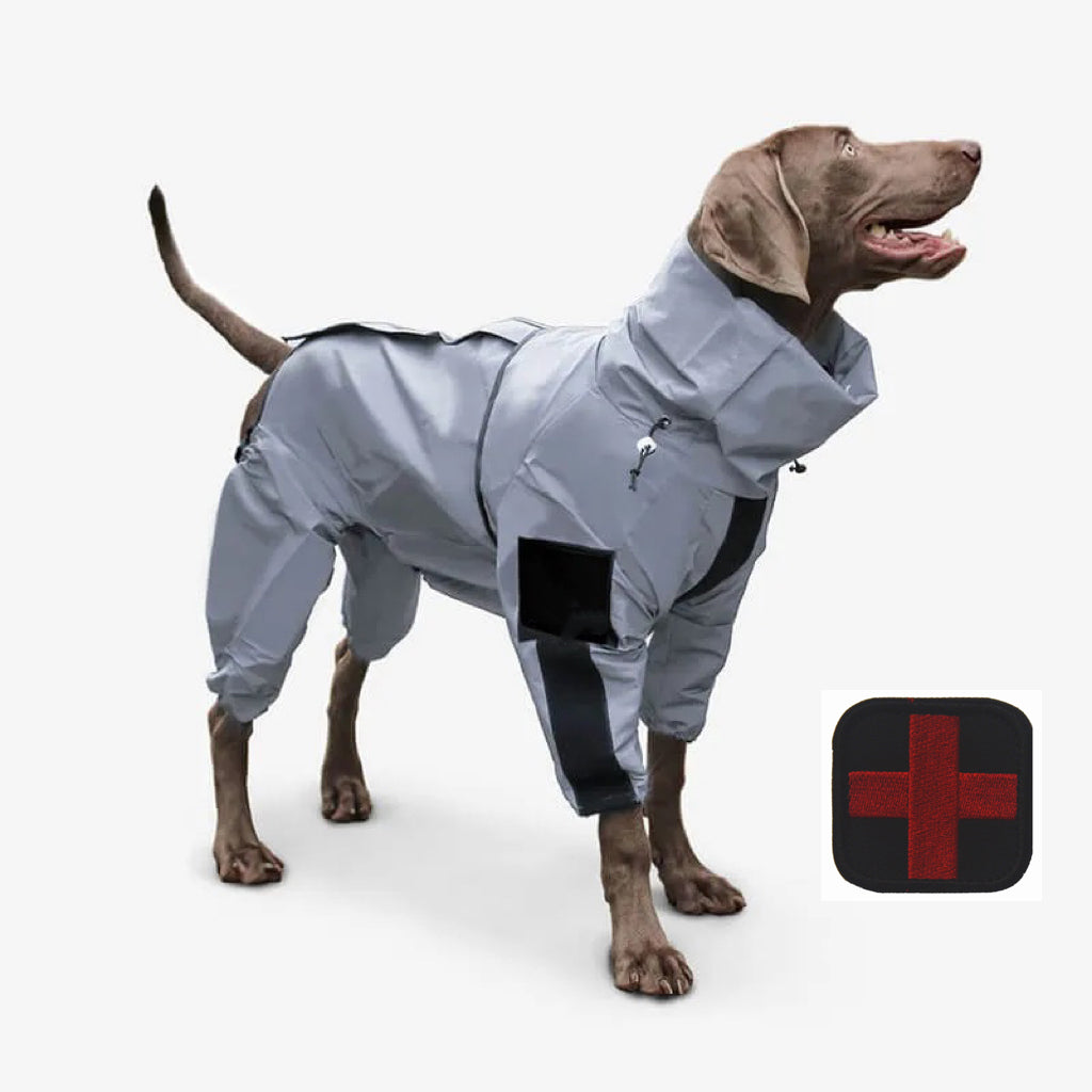BowLift | Reflective All-weather Waterproof Dog Rain Coat
