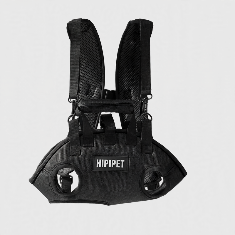 Multifunctional Pet Carrier Bag with Leash