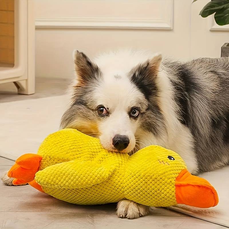 BowLift | Calming duck for dogs