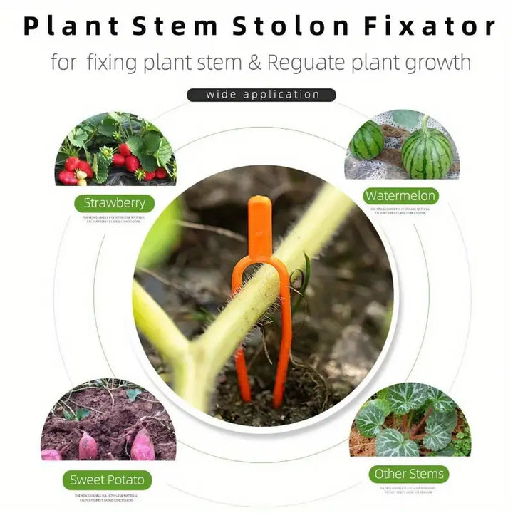BowLift | Garden plants support clamps made of plastic for optimal plant stability