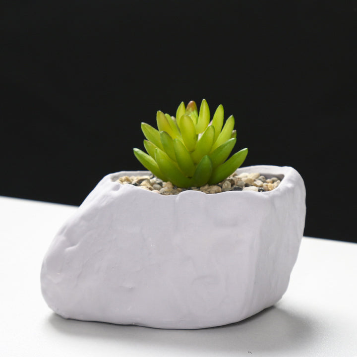 Creative Stone-Shaped Succulent Planter Bowlift