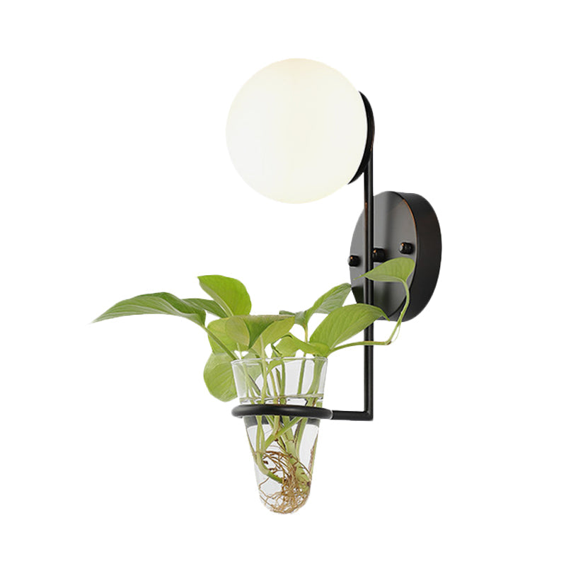 BowLift | 1 Bulb Wall Lamp Industrial Global Cream/Smoke Grey Glass Wall Light in Black/Gold with Clear Glass Plant Cup
