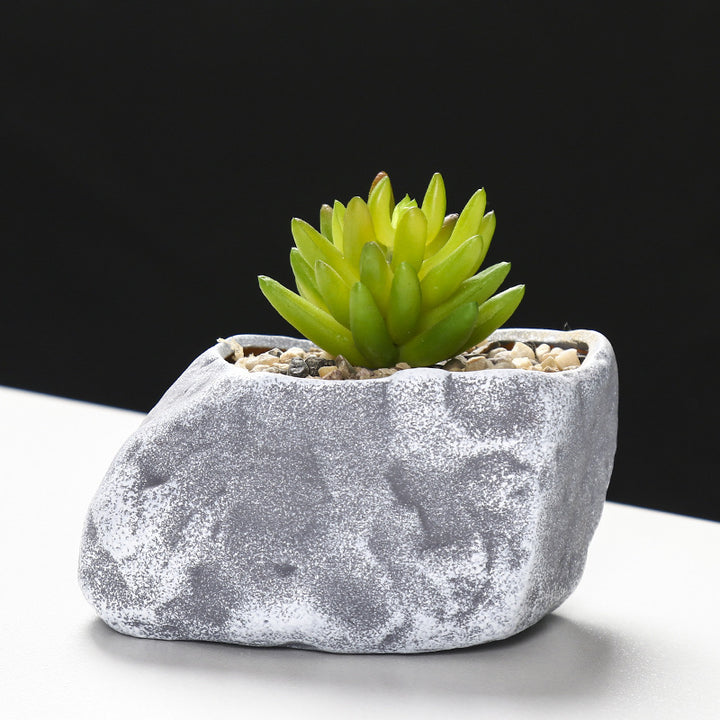 Creative Stone-Shaped Succulent Planter Bowlift
