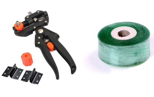 BowLift | Refinement scissors for garden – Precise cutting tools for grafting and refining plants