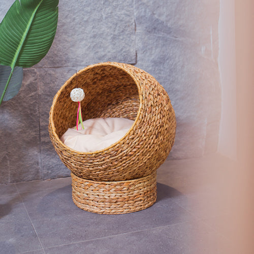 Handmade cat bed made from banana fibers Bowlift