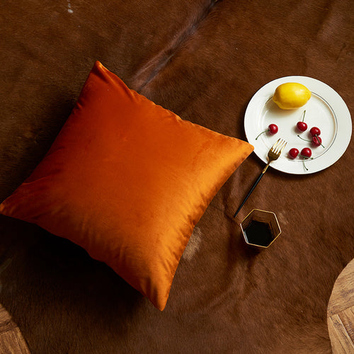 Plush Velvet Square Cushion