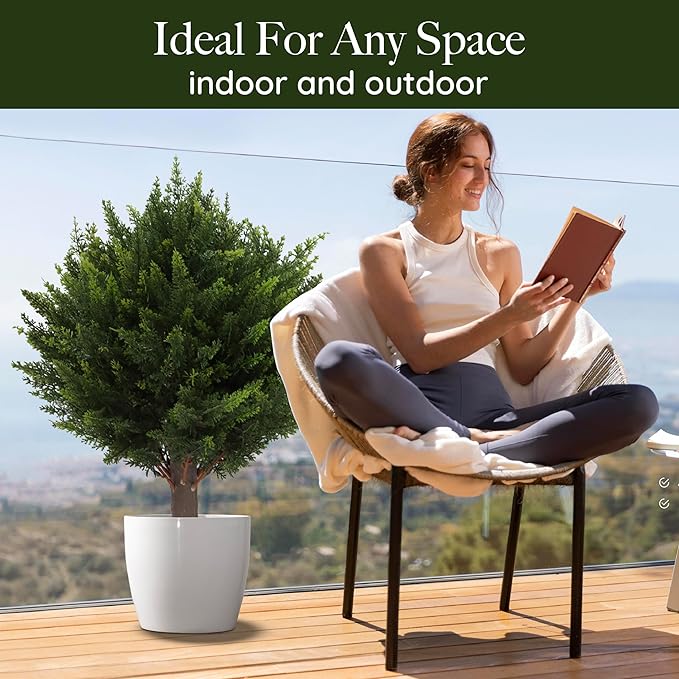 BowLift | VivaCedar — Bring permanent vibrant freshness and style into your space – completely hassle-free!