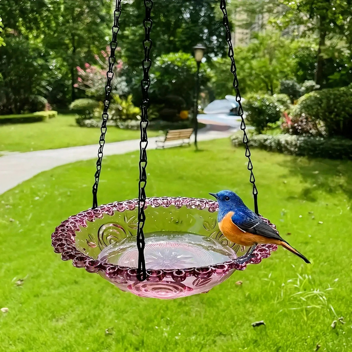 Hanging Bird Feeder Station and Bird Bath