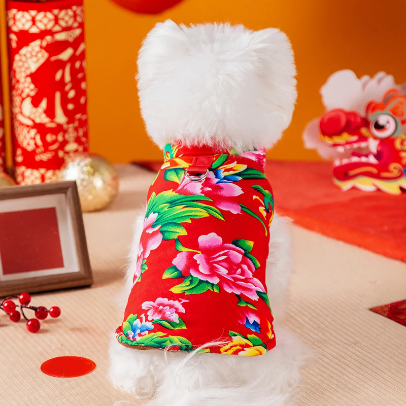 Padded dog coat with leash for clipping on