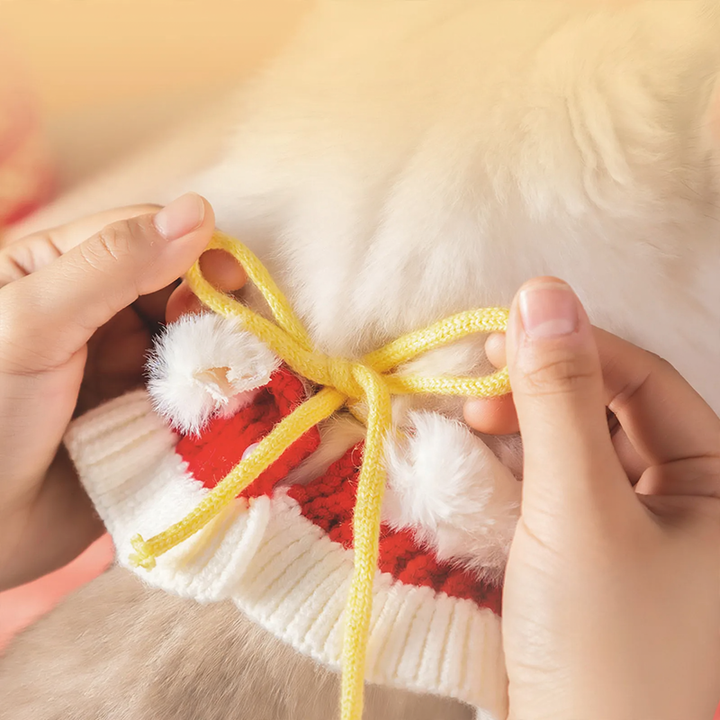 Wool collar for pets, knitted design