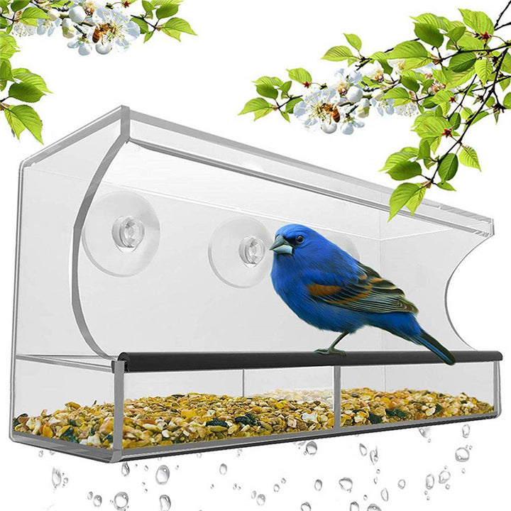 Transparent Acrylic Bird Feeder with Suction Cup
