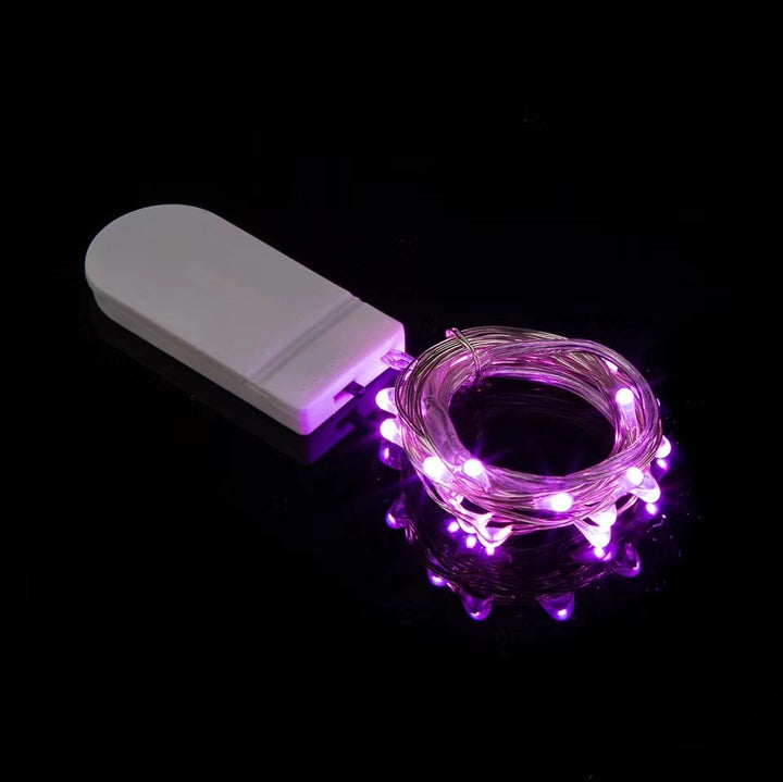 LED Copper Wire String Lights with Battery Box