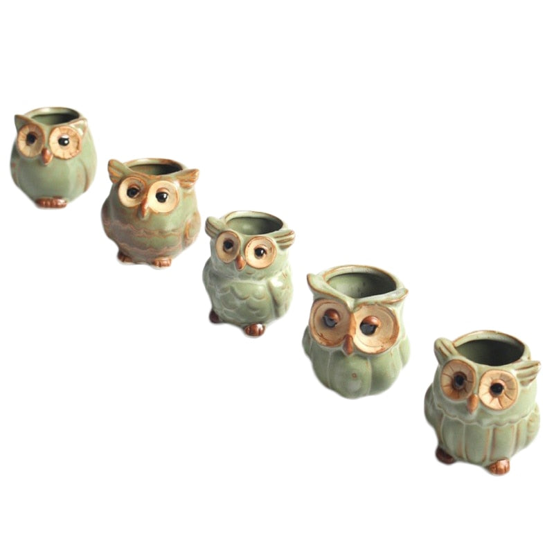 Modern Decorative Flower Pot with Owl Design Bowlift