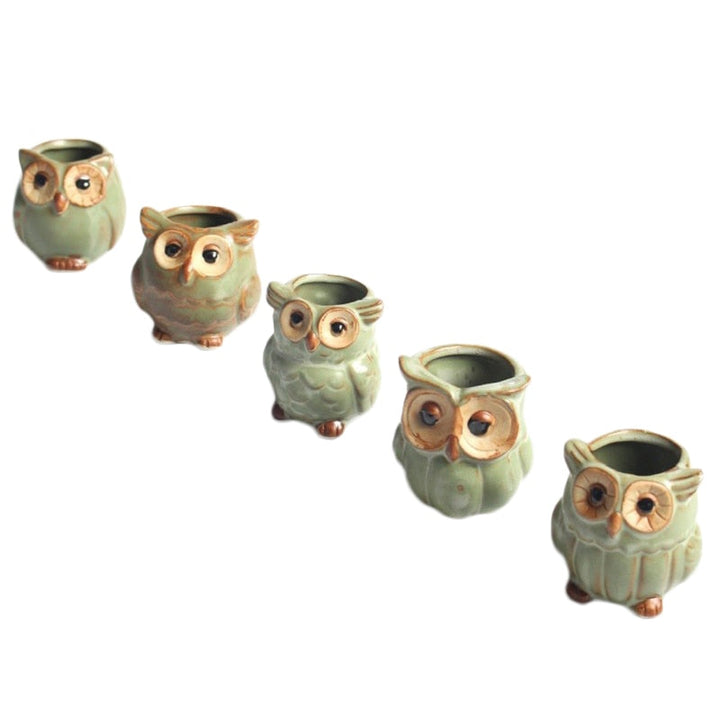 Modern Decorative Flower Pot with Owl Design Bowlift