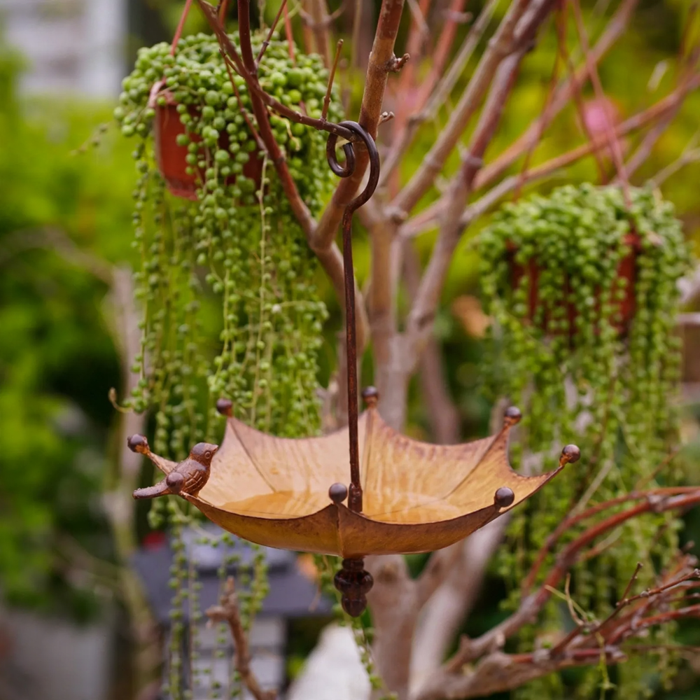 Bird bath in umbrella shape made of iron