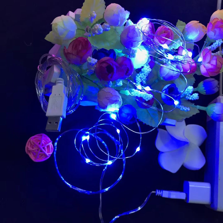LED Copper Wire String Lights with Battery Box