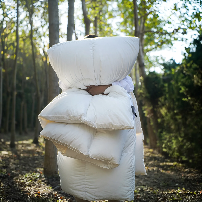 Goose down comforter, 95% down, cotton cover