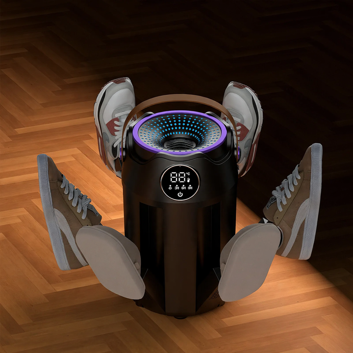 Portable, foldable shoe dryer with timer