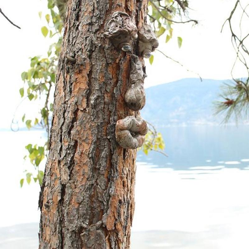 BowLift | Outdoor Tree Face Decoration