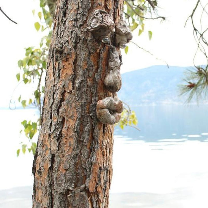 BowLift | Outdoor Tree Face Decoration