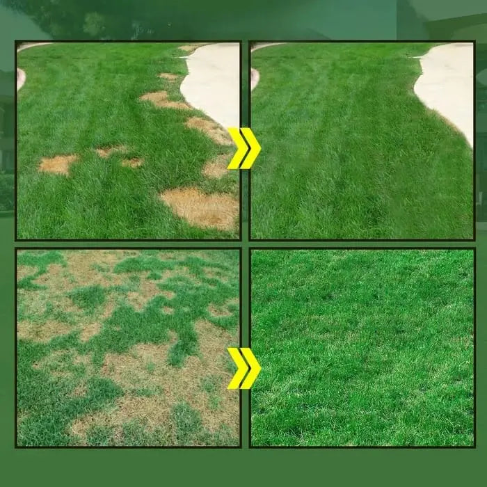 BowLift | Hydroseed Solution for Lawn Renovation – so you can be proud of your lawn again