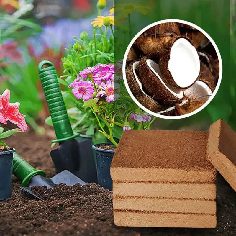 BowLift |  | Premium Organic Coconut Soil Brick – Promote Natural Plant Growth