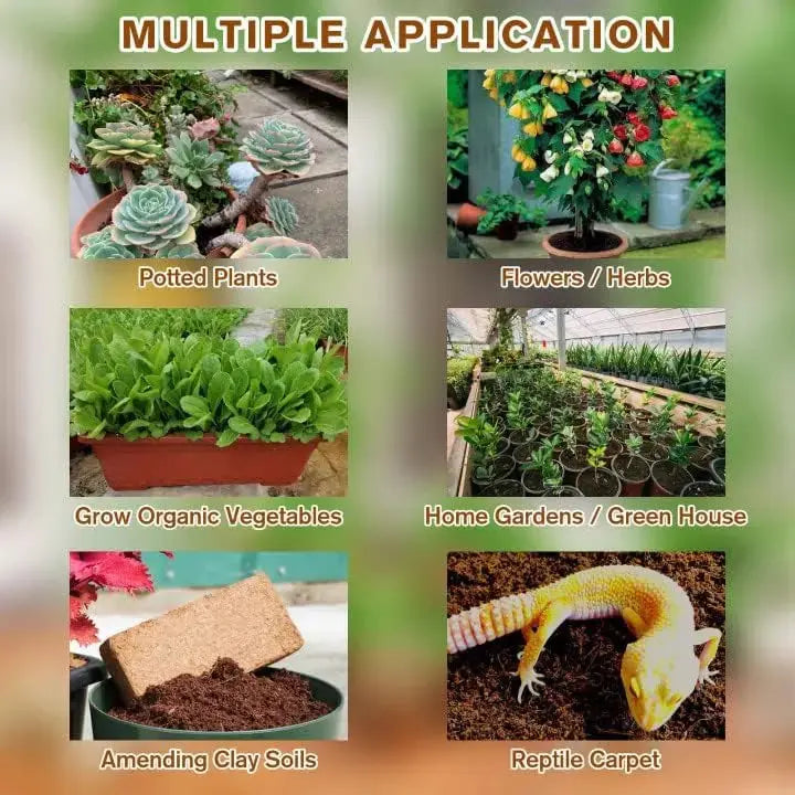 BowLift |  | Premium Organic Coconut Soil Brick – Promote Natural Plant Growth